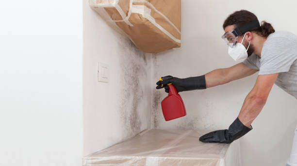 Professional Mold Cleanup technician working in Brightwaters, NY
