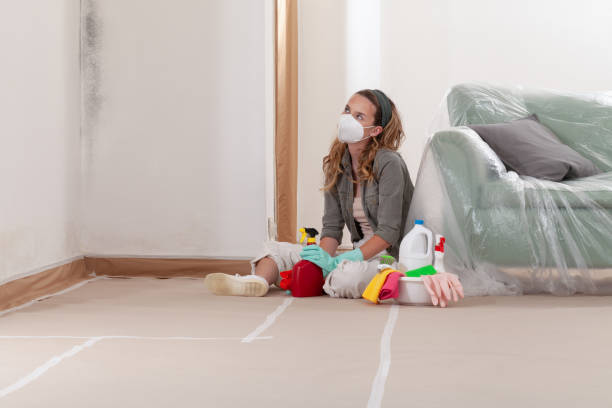 Reliable Mold Cleanup contractor in Brightwaters, NY by Cheap Mold Removal